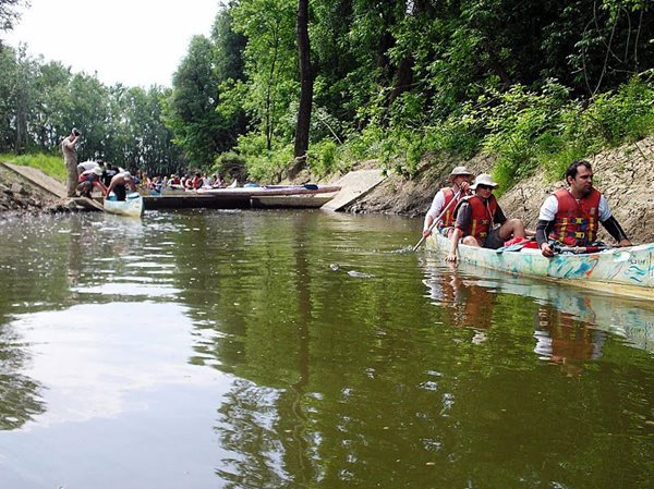 Bodrog ártér 2011 067