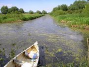 Bodrog ártéri 2009.05.22.-24. 054