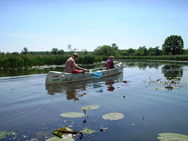 Bodrog ártér 2011 037