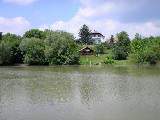 Nbodrog_arter62
