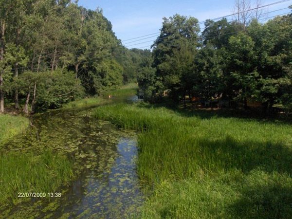 Vizitura2009_Tiszabecs 206