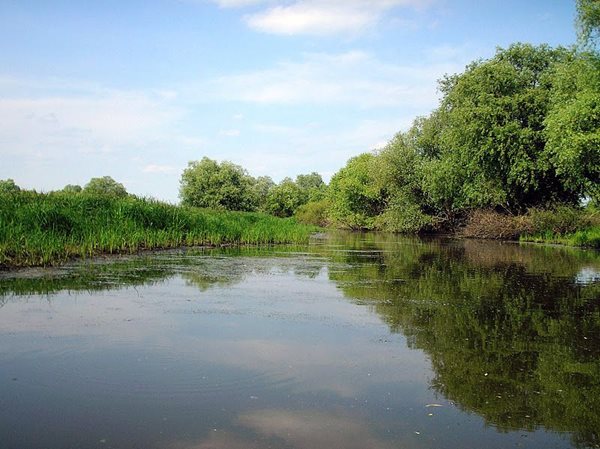 Bodrog ártér 2011 051