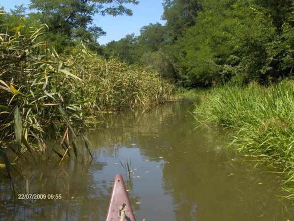 Vizitura2009_Tiszabecs 116