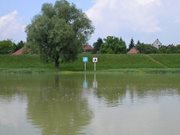 Nbodrog_arter66